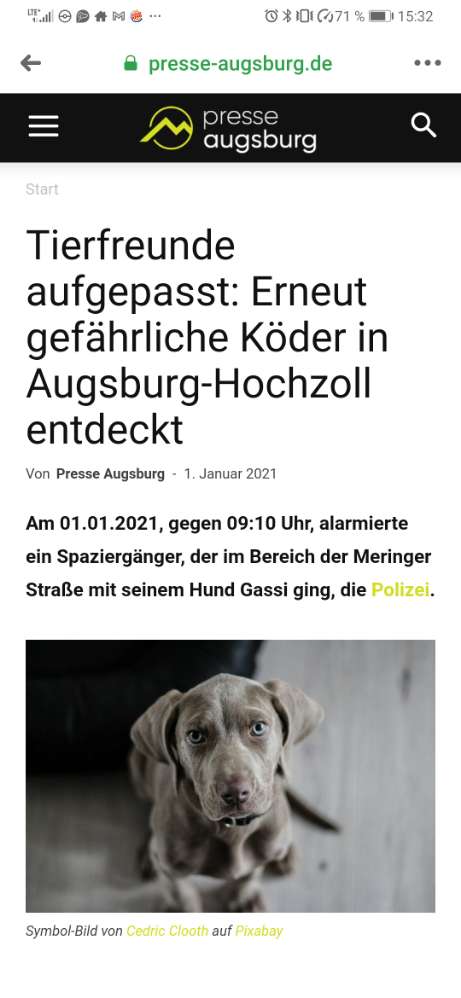 Giftköder-Wurststücke mit Glasscherben-Profilbild