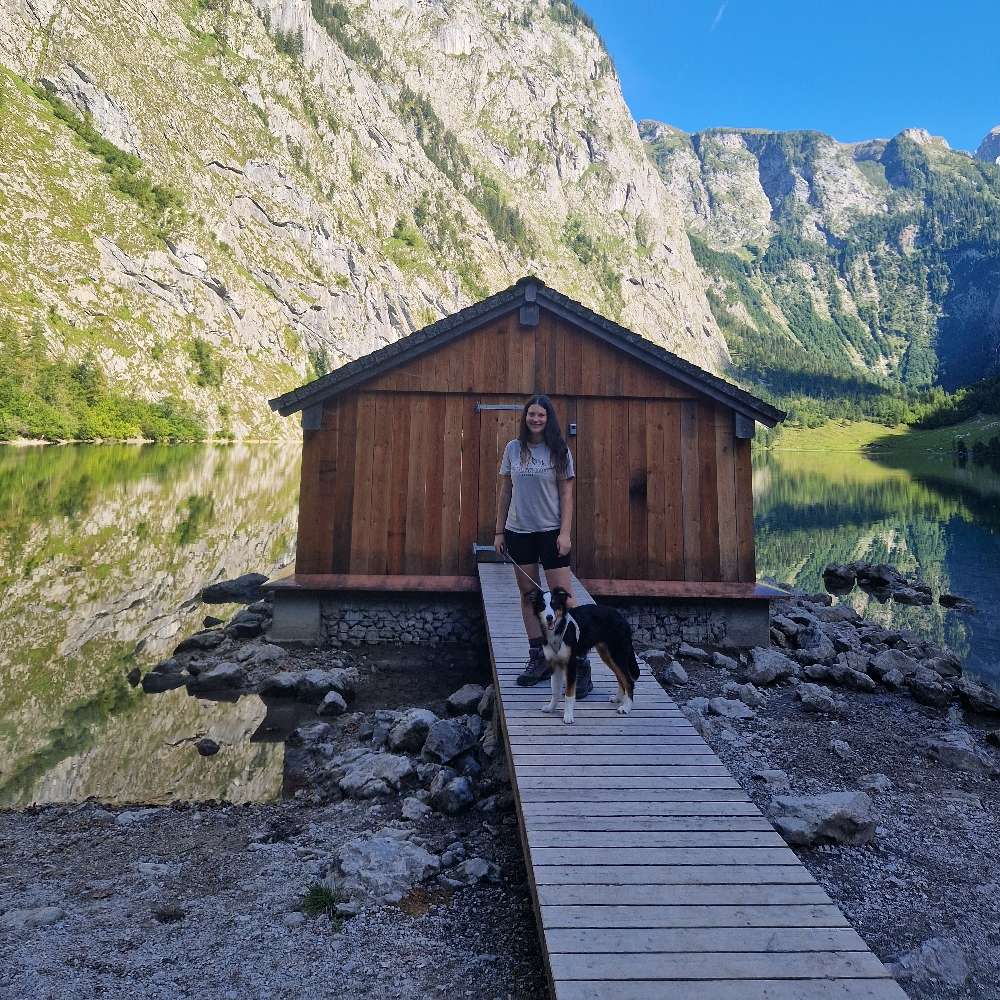 Hundetreffen-Spielkamerad, Trainingspartner oder gemeinsamer Spaziergang-Profilbild