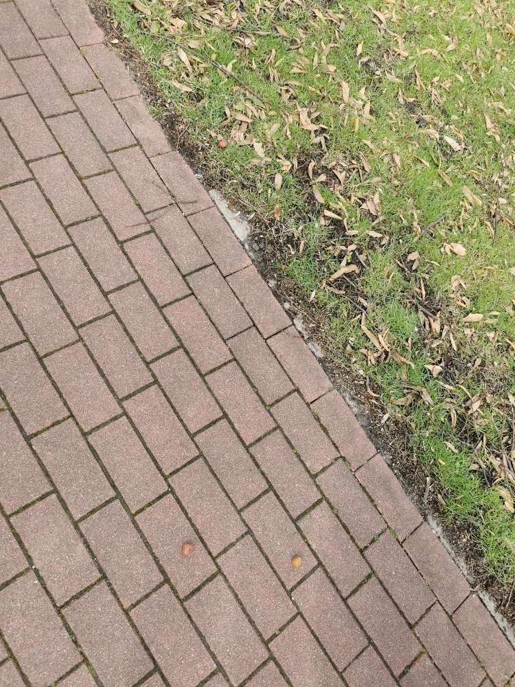 Giftköder-Verdächtige "Leckerchen" Rundturnhalle-Profilbild