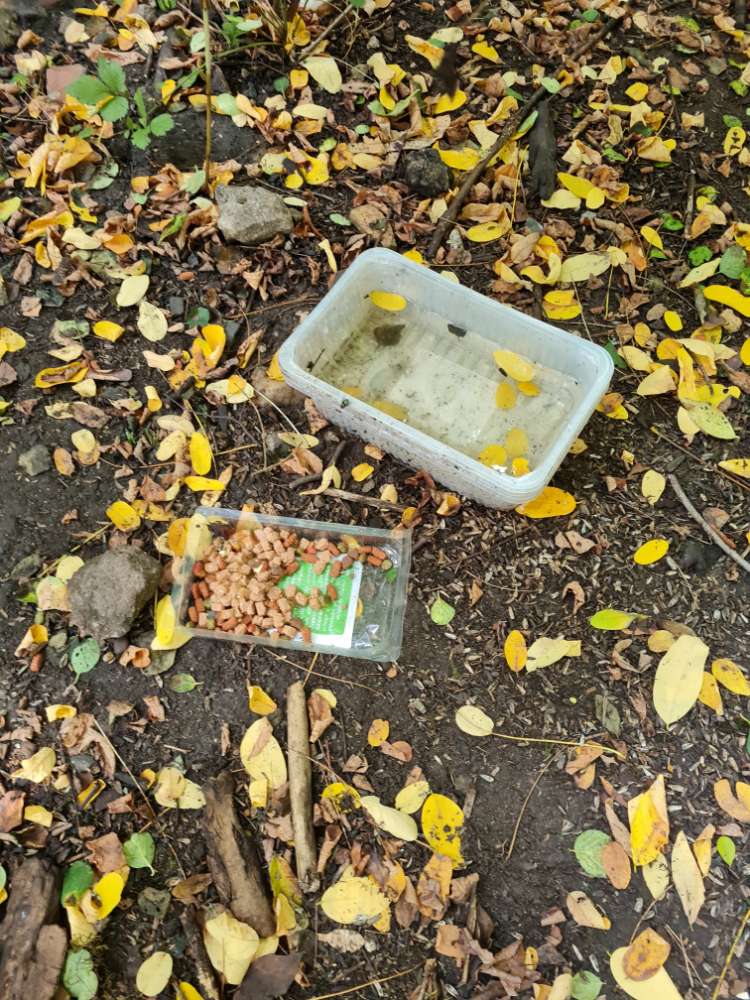 Giftköder-Vermutliche Giftköder-Profilbild