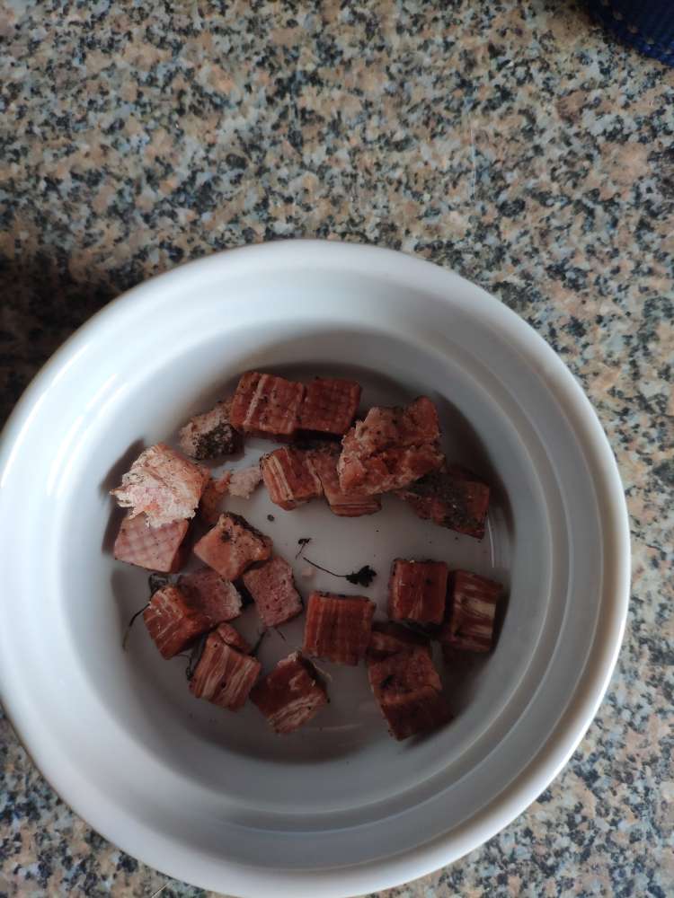 Giftköder-Ev. vergiftete Fleischstückchen-Profilbild