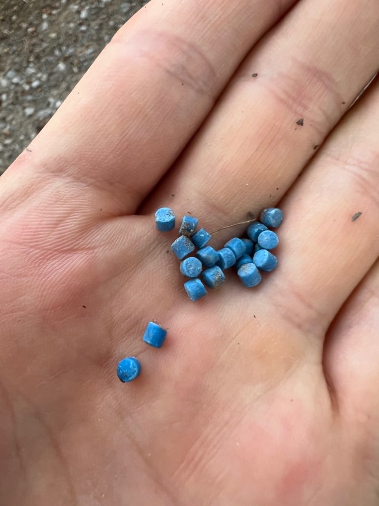 Giftköder-Möglicherweise Rattengift-Profilbild