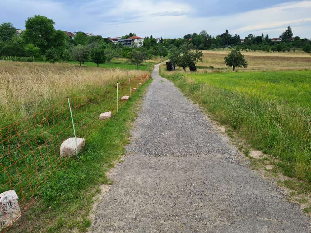Giftköder-Ausgelegtes Brot / Brötchen-Profilbild