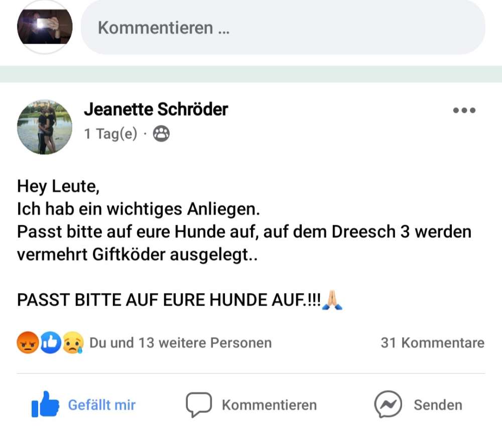 Giftköder-Giftköder-Profilbild