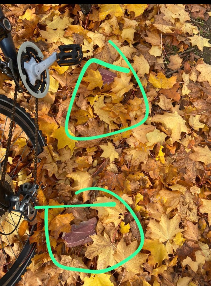 Giftköder-Vorsicht mögliche Giftköder unter Laub-Profilbild