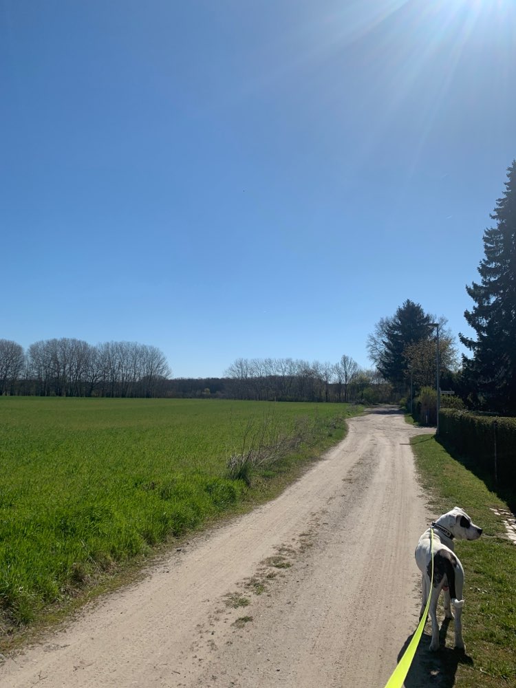 Giftköder-Feld gegen Unkraut behandelt.-Profilbild