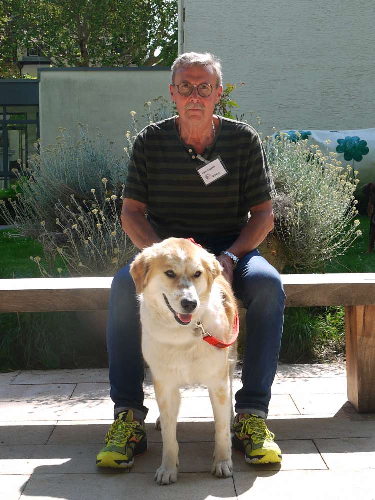 Hundetreffen-Suche Hundefreunde zum Hundespaziergang mit Training in Krefeld Fischeln oder Umgebung. Treffpunkt n-Profilbild