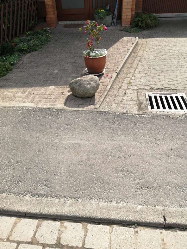 Giftköder-Ausgelegtes Fleisch-Profilbild