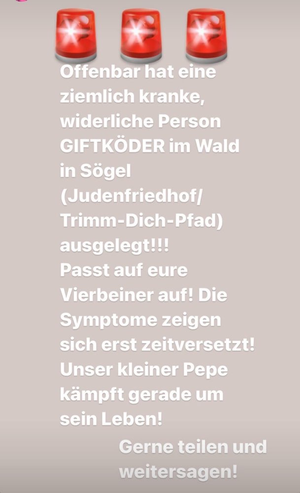 Giftköder-Giftköder-Profilbild