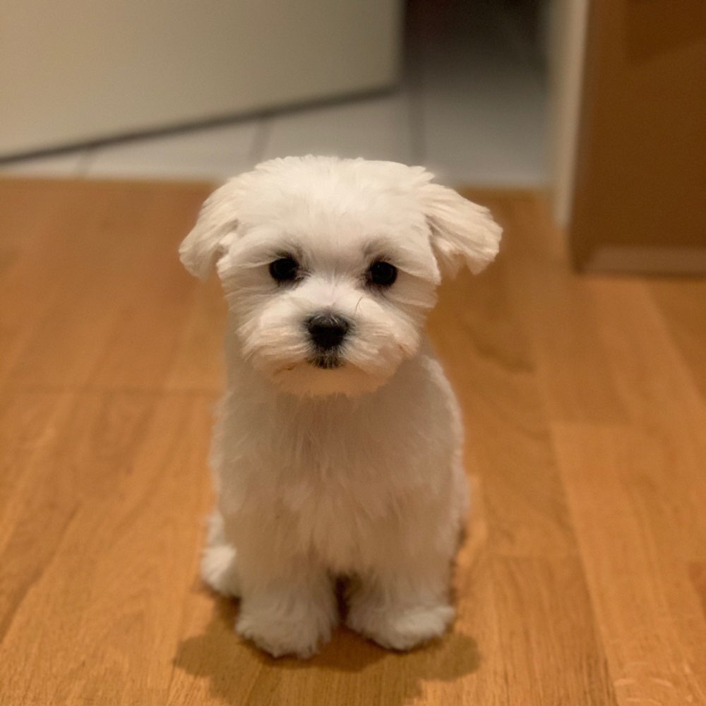 Ersteller:in Grüneburgpark Oder Rothschildpark Profilbild