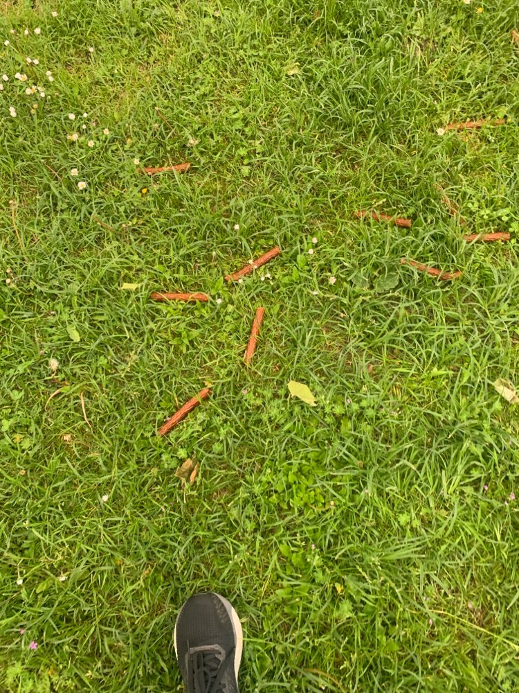 Giftköder-Ausgelegte Würstchen-Profilbild