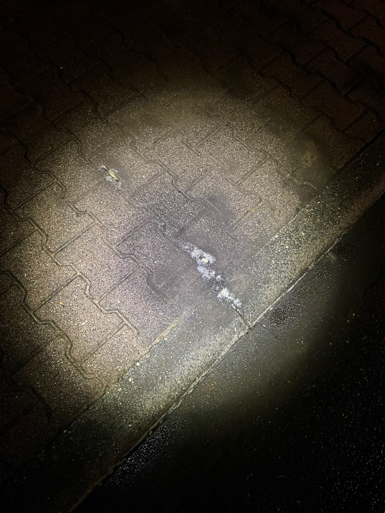 Giftköder-Weisses Pulver-Profilbild