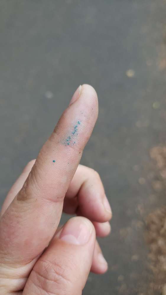 Giftköder-Evtl. Giftköder-Profilbild