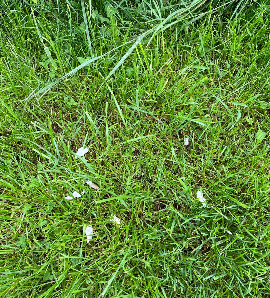 Giftköder-Wurst, Evtl. Giftköder-Profilbild