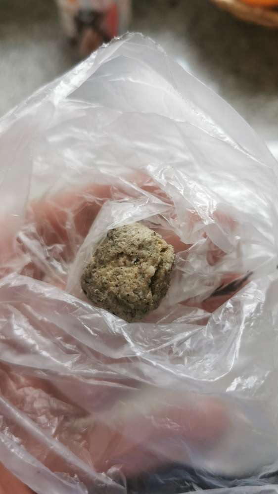 Giftköder-Giftköder-Profilbild