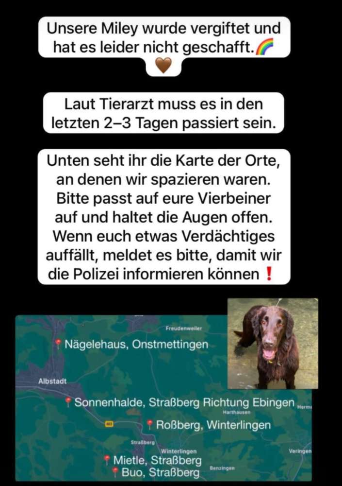 Giftköder-Giftköder-Profilbild