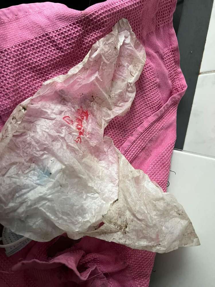 Giftköder-Giftköder-Profilbild