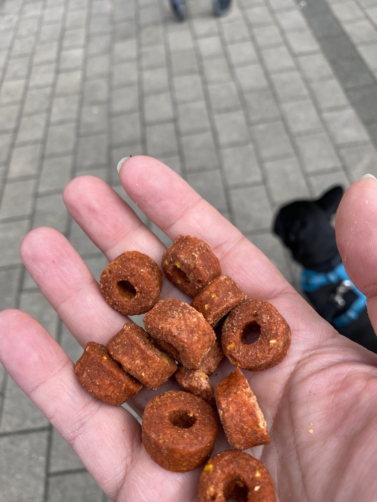 Giftköder-Hundefutter "Frolic" ggf. vergiftet-Profilbild