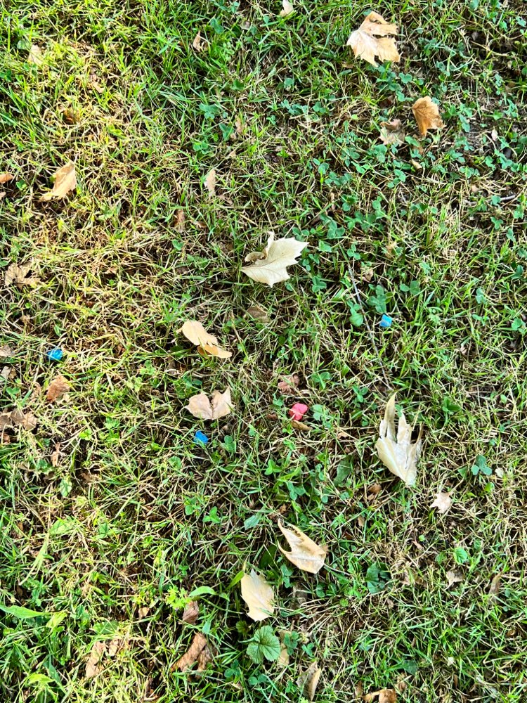 Giftköder-Ggf Rattengift oder Schneckenkorn-Profilbild