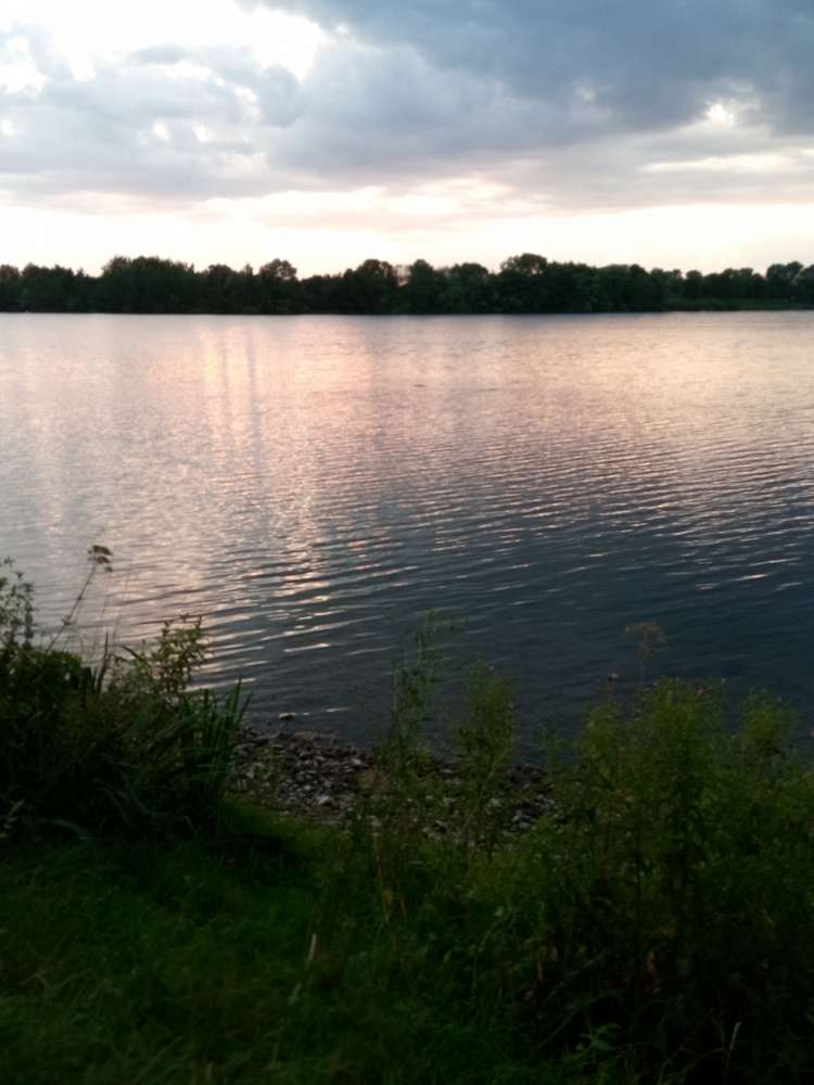 Hundetreffen-Fellnasen Freunde gesucht-Profilbild