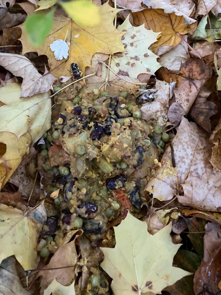 Giftköder-Achtung Suppe mit Gegenständen-Profilbild