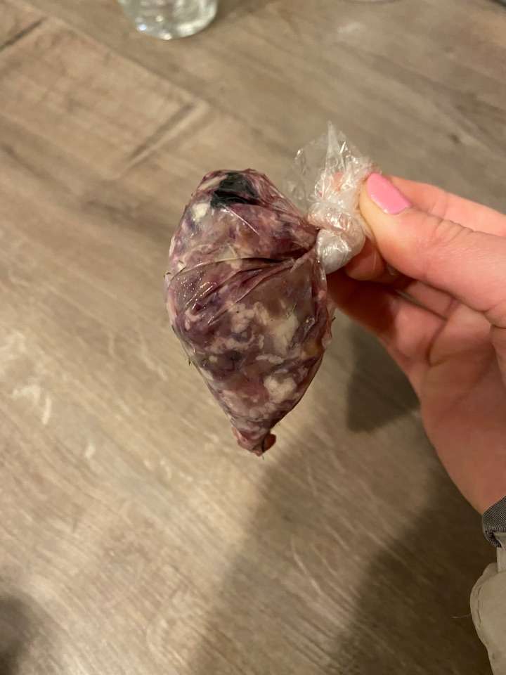 Giftköder-Verdächtiges Fleischsäckchen-Profilbild