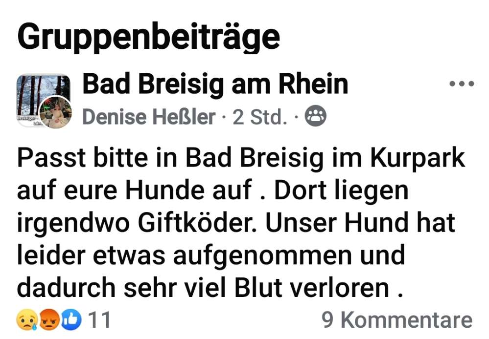 Giftköder-Mehrere Giftköder-Verdachtsfälle – Bürgermeister verurteilt Taten scharf-Profilbild