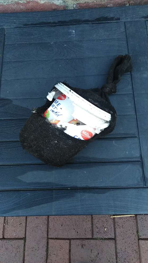 Giftköder-Giftköder-Profilbild