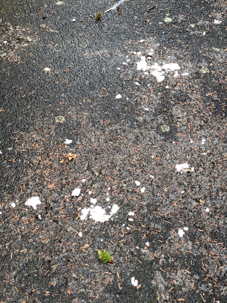 Giftköder-Weißes undefinierbares Pulver-Profilbild