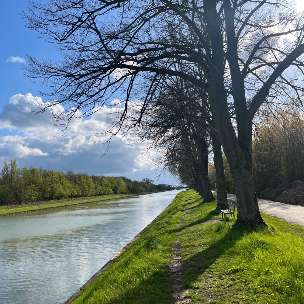 Hundetreffen-Social Walk in/um Amelsbüren-Profilbild