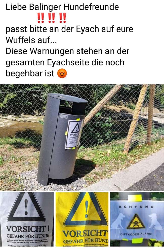 Giftköder-Giftköder-Profilbild