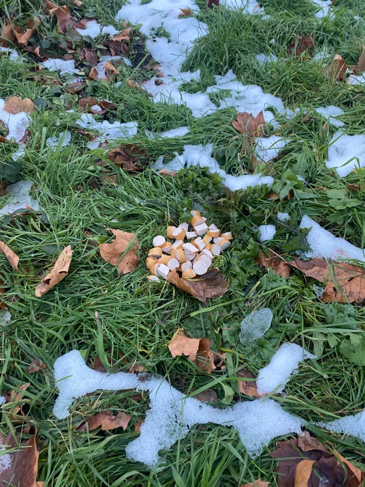 Giftköder-Geschnittene Wurst! Sehr verdächtig-Profilbild