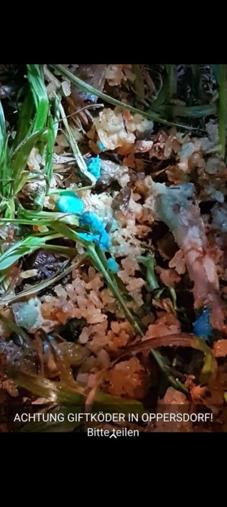 Giftköder-Giftköder in Lappersdorf-Profilbild