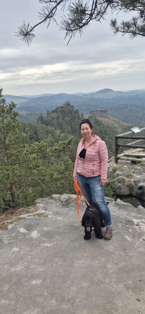 Hundetreffen-Wandern mit Hund / Tagesausflug-Profilbild