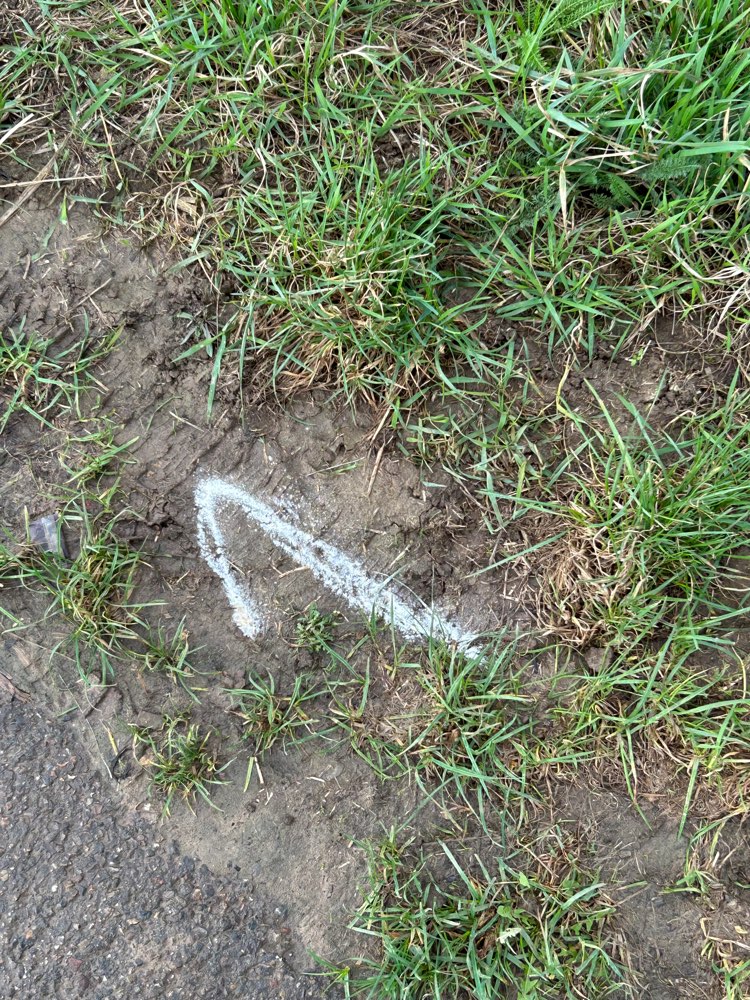 Giftköder-Mehrere Haufen Pulver auf dem Feldweg-Profilbild