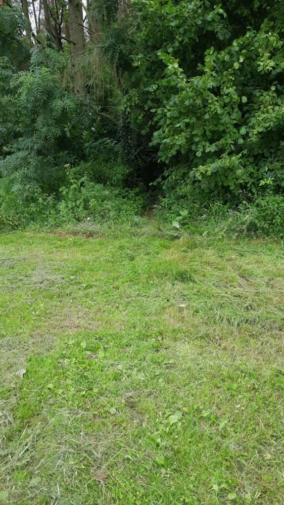 Giftköder-Dürscheid: Ausgelegte Glasscherben-Profilbild