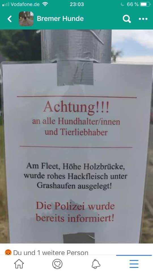 Giftköder-Rohes Hackfleisch unterm Gras Haufen-Profilbild