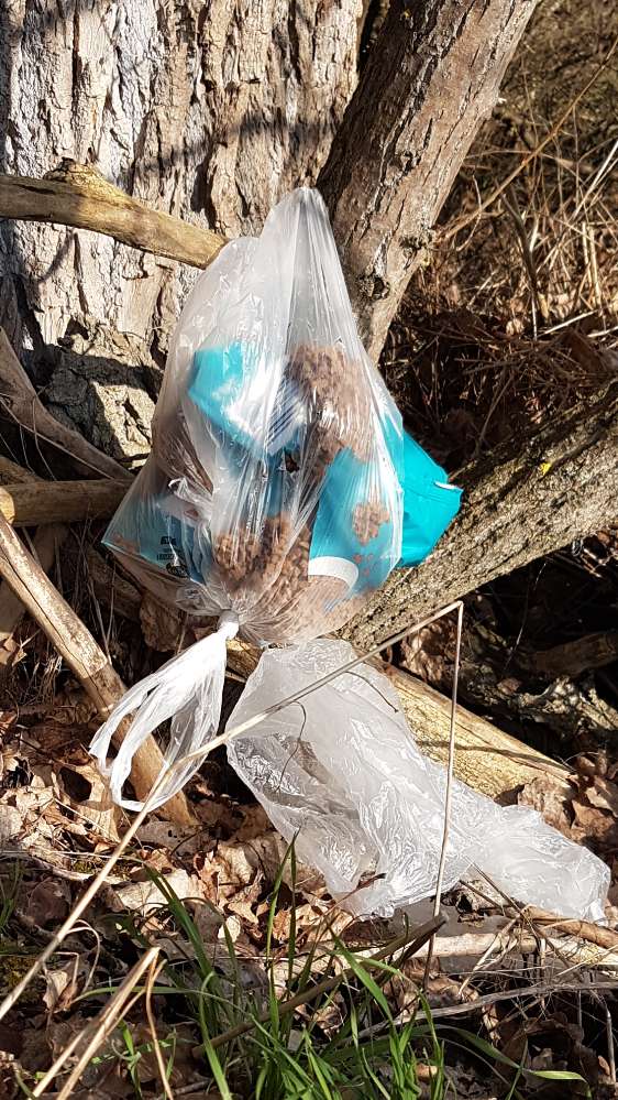 Giftköder-Hundefutter-Profilbild