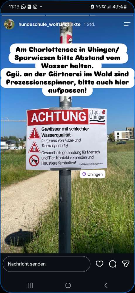 Giftköder-Prozessionsspinner-Profilbild