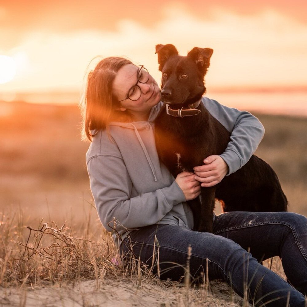 Hundetreffen-Gemeinsame Spaziergänge / Toberunden-Profilbild