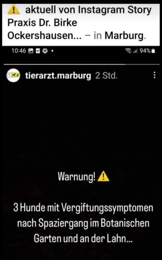 Giftköder-Fleischwurst mit Tabletten-Profilbild