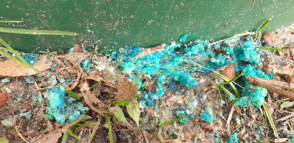 Giftköder-Rattengift blau gelartige Bröckchen-Profilbild