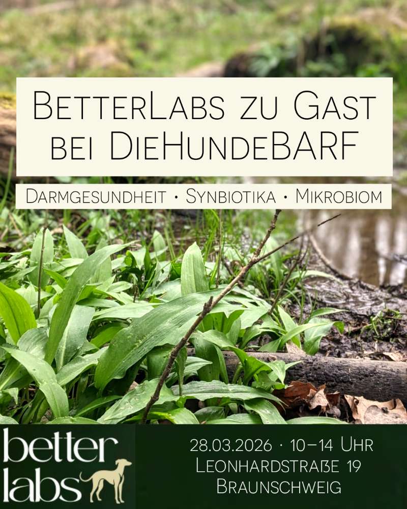 Hundetreffen-Infoveranstaltung Darmgesundheit-Profilbild