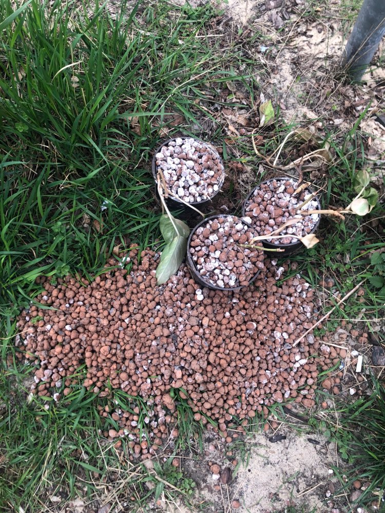 Giftköder-Giftköder im Hundefutter-Profilbild