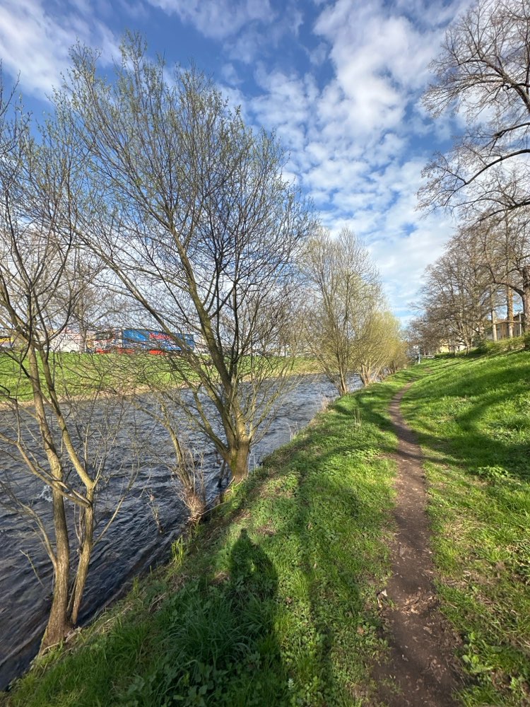 Giftköder-Hund wurde vergiftet aufpassen-Profilbild