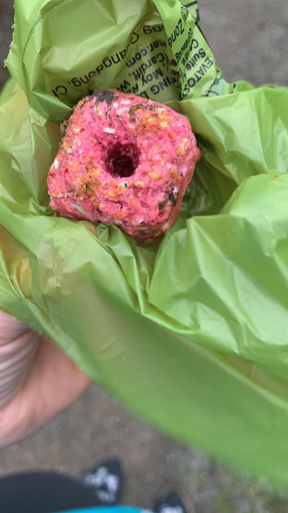 Giftköder-Rattengift-Profilbild