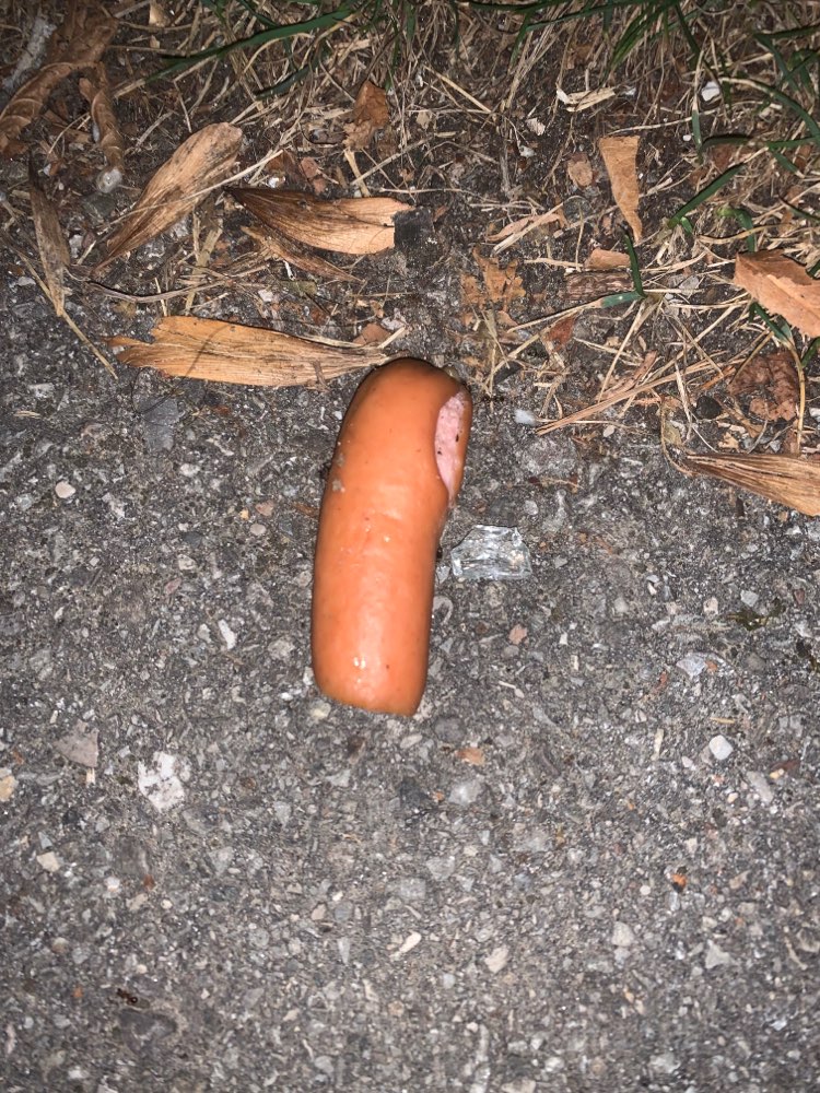 Giftköder-Wiener mit Glasscherben-Profilbild