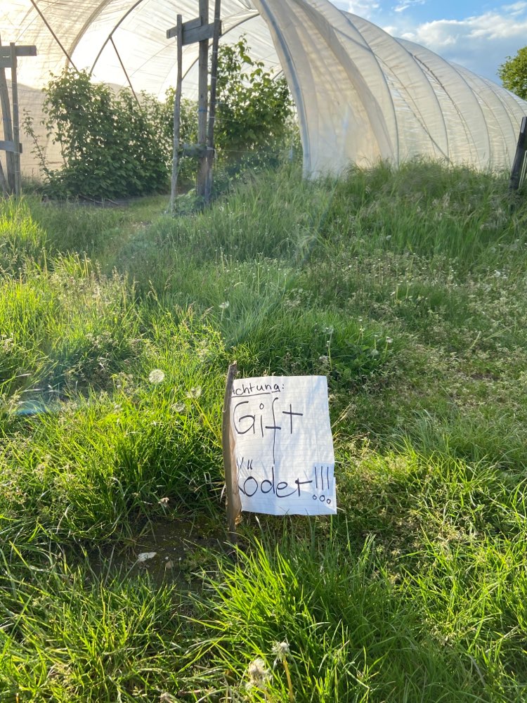 Giftköder-Warnung vor Giftködern im Gras...-Profilbild