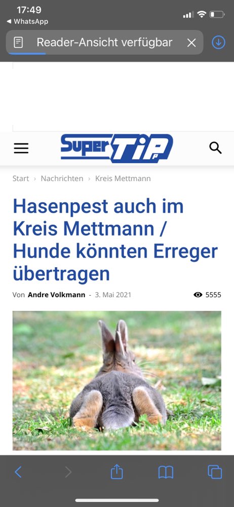 Giftköder-Hasenpest-Profilbild