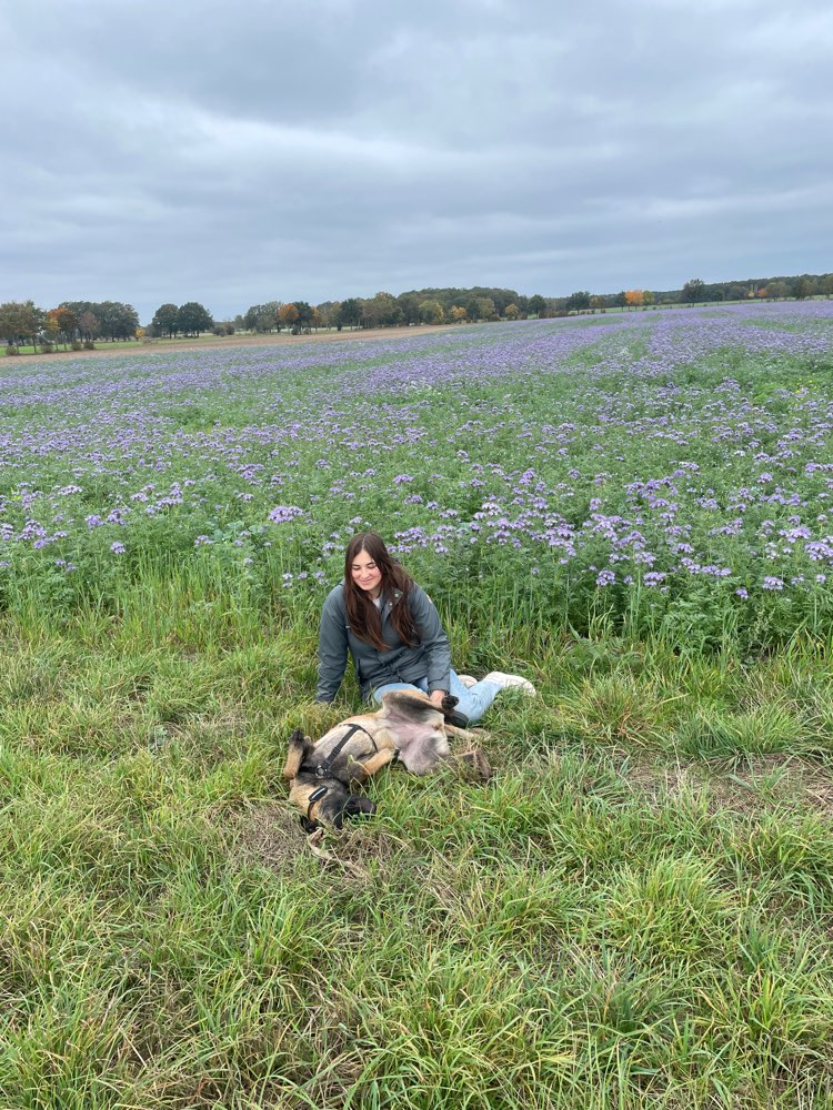 Hundetreffen-Girls Walk 🐕💗-Profilbild